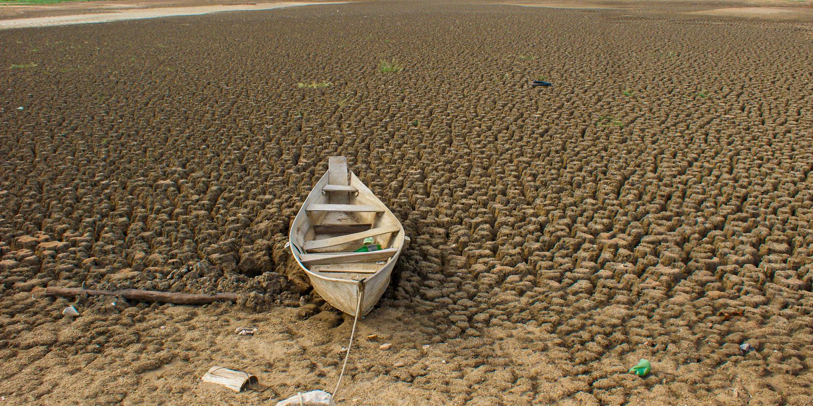 Brasil anuncia plano para restaurar 163 mil km² até 2030