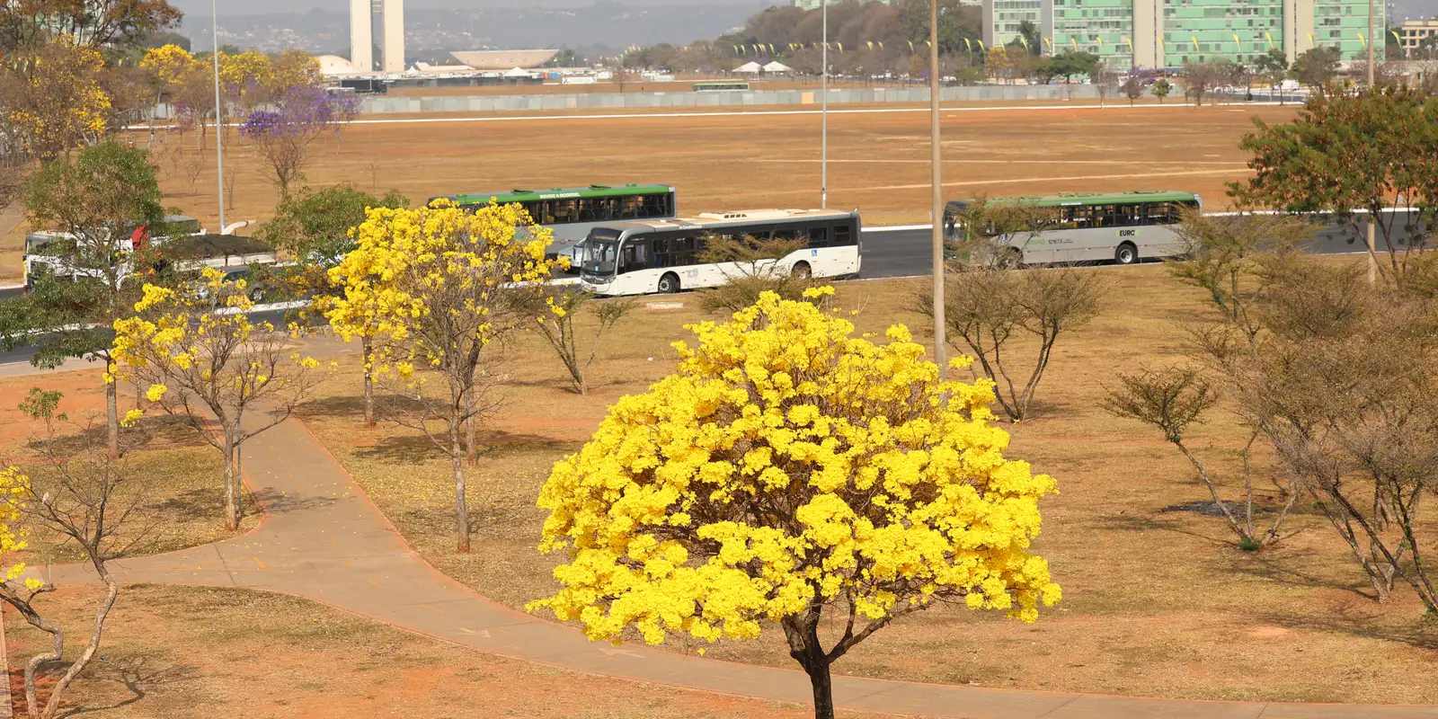 Centro-Oeste registra três alertas por tempestades e ar seco