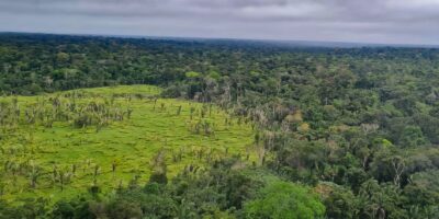 Imazon revela: 60% das terras indígenas da Amazônia mantêm desmatamento zero