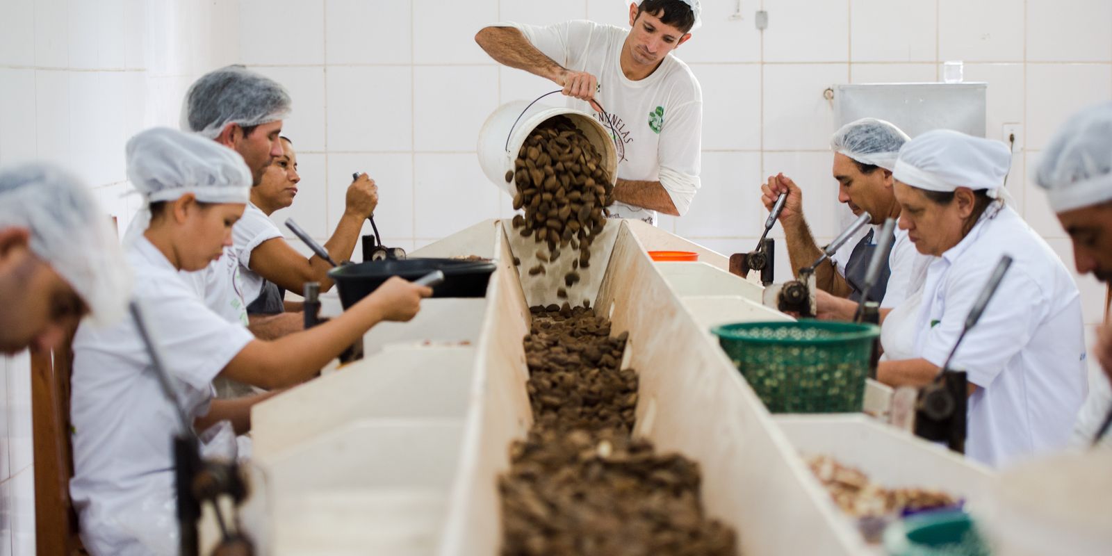 Prazo final: consulta pública mapeia bens sustentáveis do Mercosul para a UE
