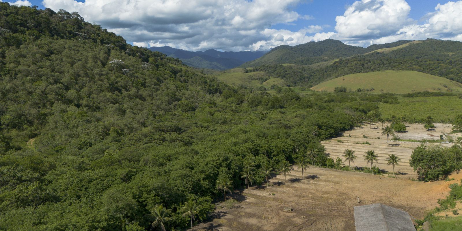 Agricultura avança e ocupa 11 milhões de ha da Mata Atlântica