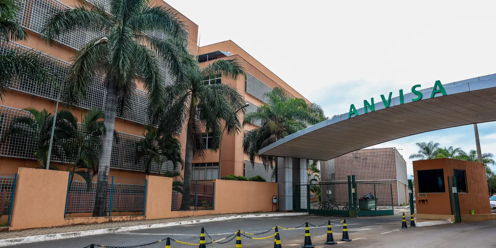 Anvisa recomenda exames para usuários de Carbidol por risco de B6