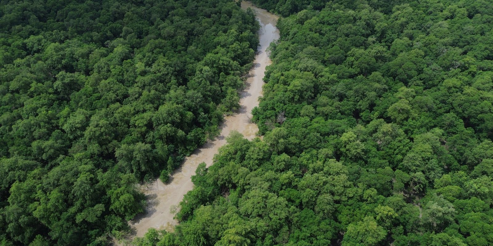 Campanha 'Cada voto pela Amazônia' chama eleitores às urnas