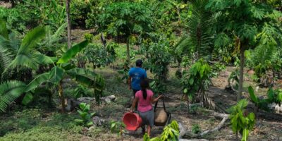 COP17: Secas e cheias põem em risco terras e saberes na América Latina