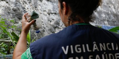 Dengue em SP atinge 58.683 casos; Taubaté concentra mais óbitos