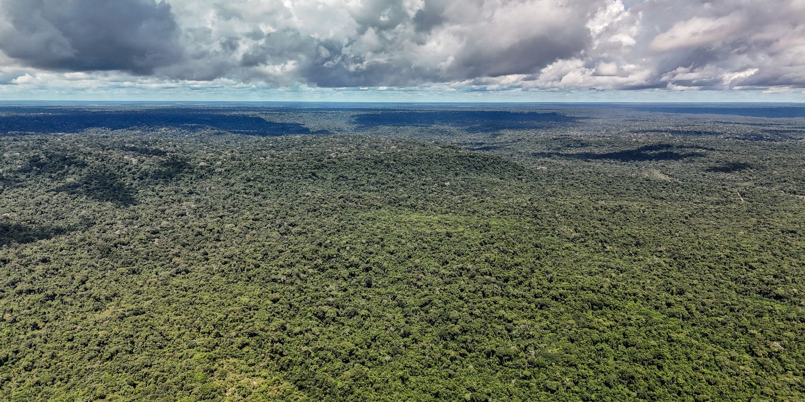 Desmatamento da Amazônia enfraquece 'máquina de chuva' e ameaça água
