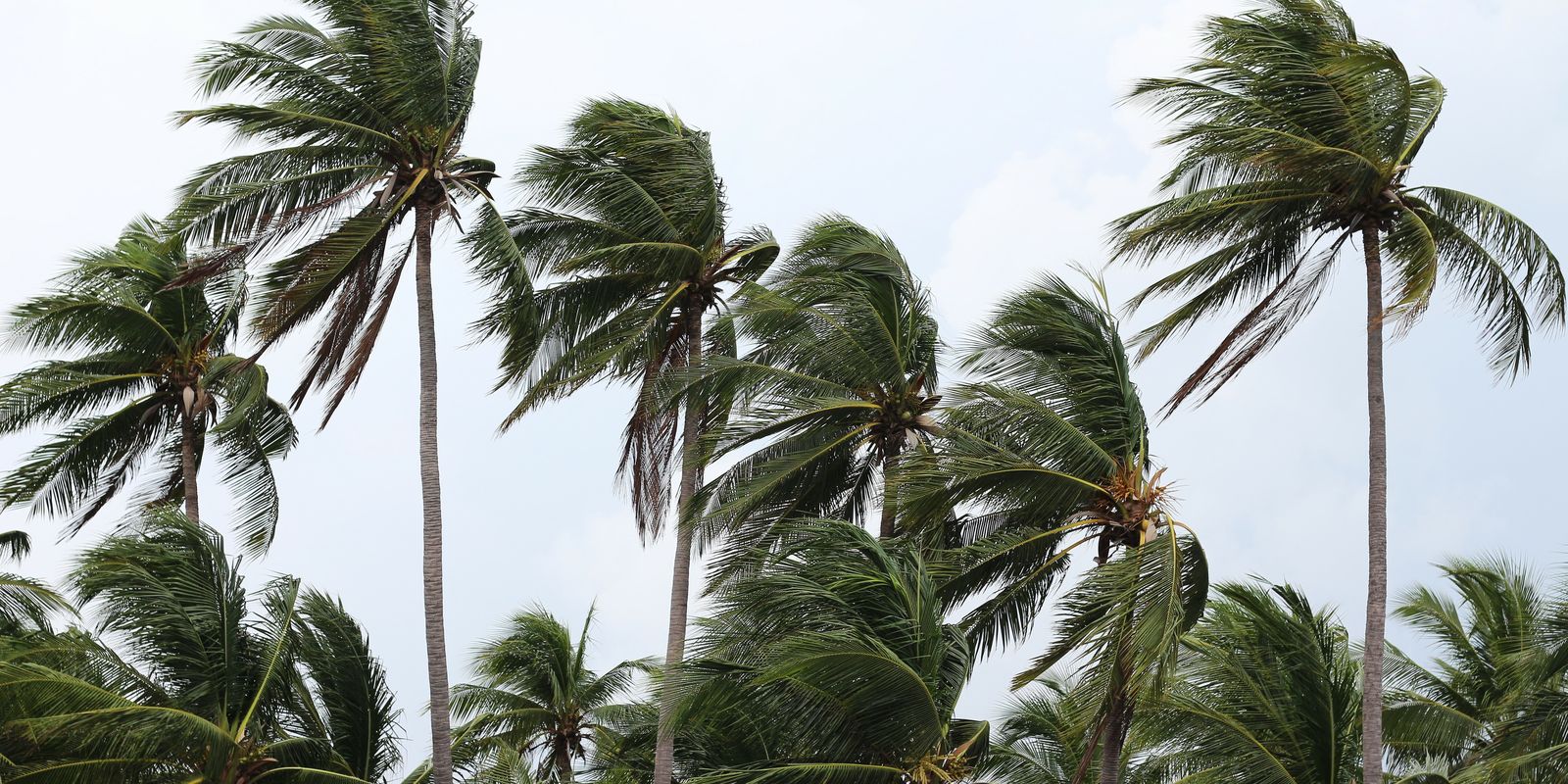 Frente fria atinge o RJ com ventos fortes e chuva; Defesa Civil alerta