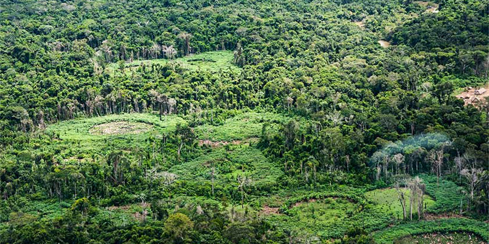 Indígenas lideram restauração na Amazônia e redefinem projetos