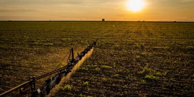 Lei 15.526 amplia seguro rural e integra apólices às garantias de crédito
