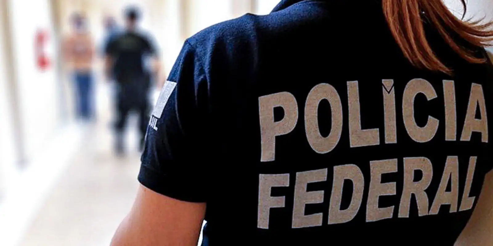 PF desarticula esquema que falsificava registros de armas de CACs