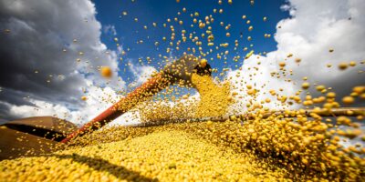 Produção agrícola cresce 18% e alcança R$ 927,2 bi em 2025