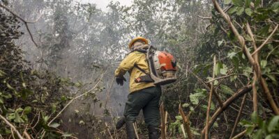 Amazonas registra 540 focos em 2 dias; autoridades culpam ação humana