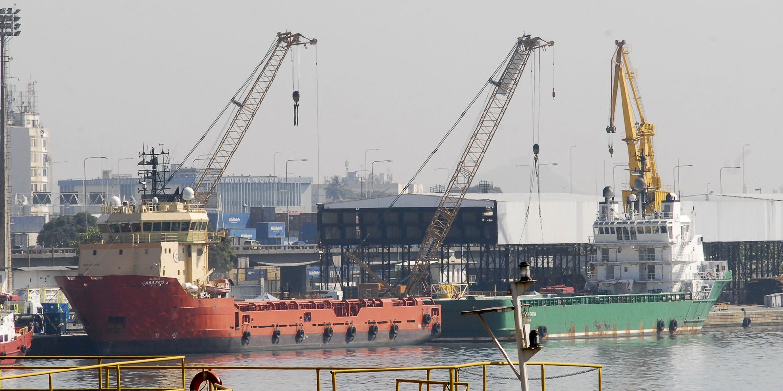 Brasil amplia exportações: genética bovina para Bangladesh e ração para Colômbia