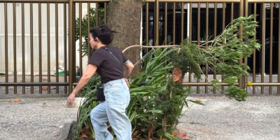 Ciclone na Região Sul causa ventos costeiros fortes e frio em várias áreas