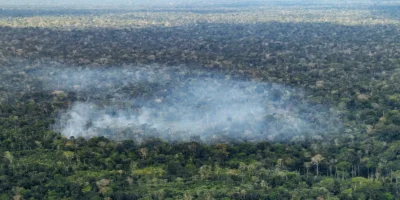 Desmatamento e queimadas impulsionam emissões de carbono na Amazônia