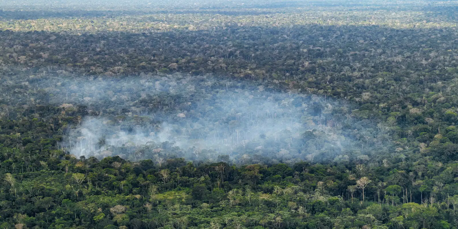 Desmatamento e queimadas impulsionam emissões de carbono na Amazônia