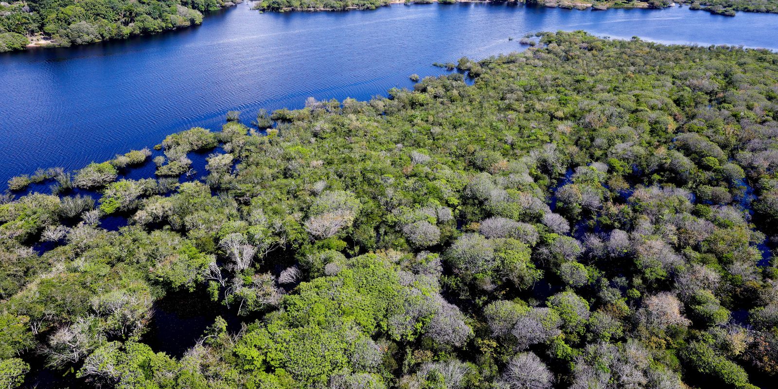 Desmatamento em áreas protegidas cai em 2026; Amazônia teve 111 km²
