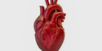 Doença cardiovascular mata a cada 72s; novo Hub divulga dados detalhados
