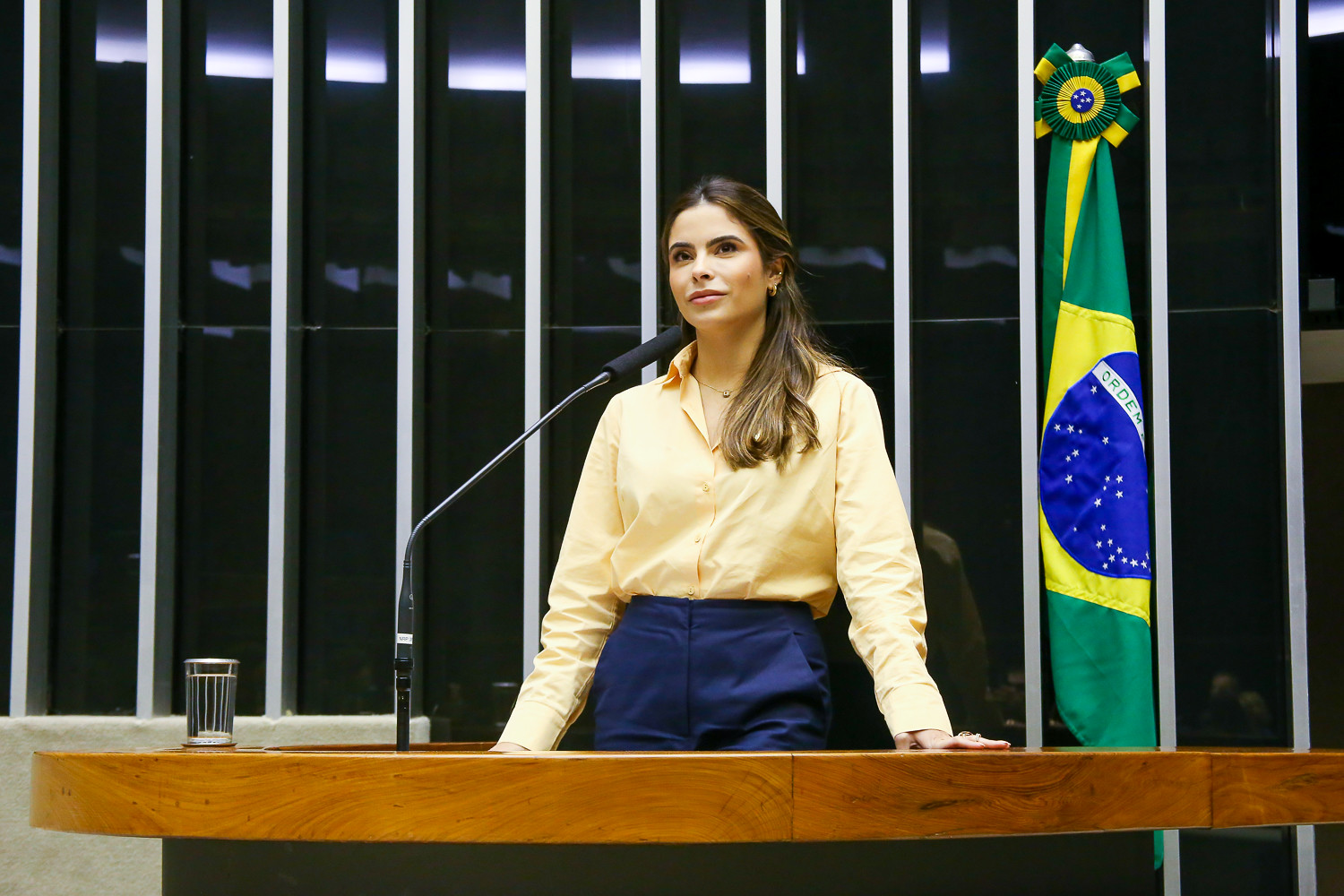 A deputada federal Yandra Moura na tribuna da Câmara