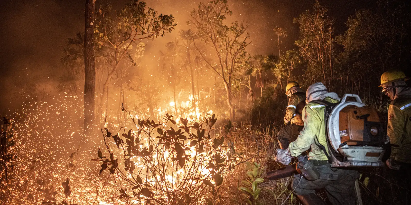 Ibama apaga 229 incêndios no Amazonas; combate segue em 20 focos