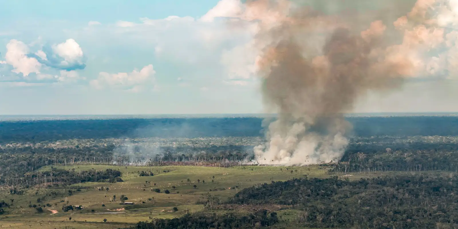 Incêndios no oeste do Pará disparam e deixam ar insalubre em Santarém e Manaus
