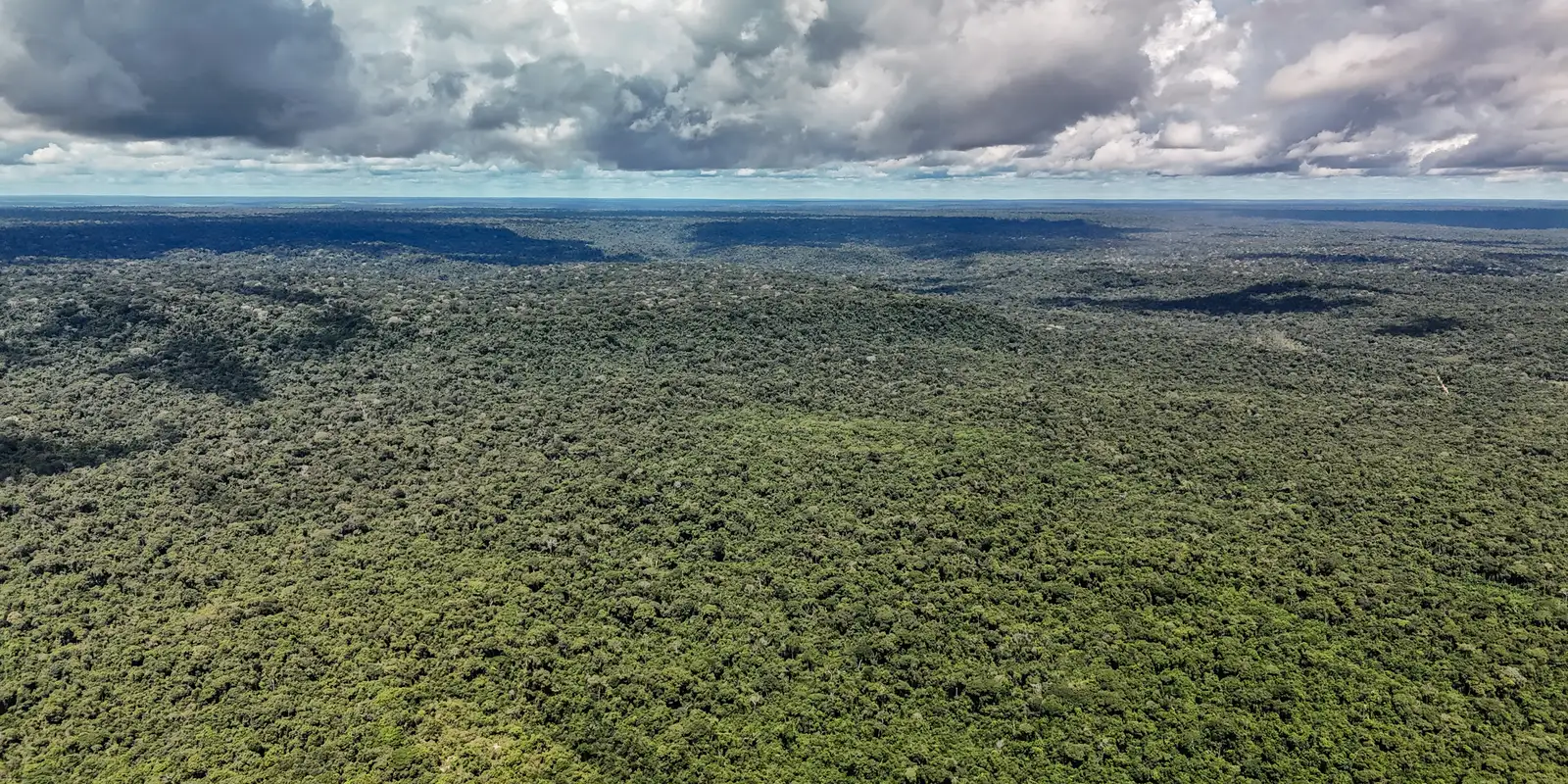 MapBiomas registra menor desmatamento da Amazônia em 41 anos
