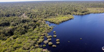 Queda do desmatamento traz R$ 1,16 tri em benefícios climáticos