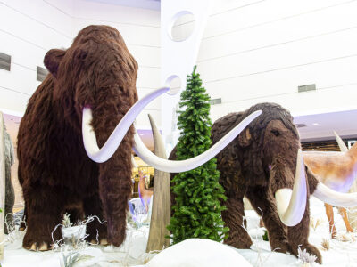 Exposição Gigantes do Gelo fica no Shopping Jardins até segunda-feira, 19 de outubro